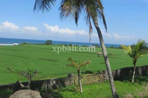 9335m2 Land in Negara, Jembrana, Bali (13914) 4