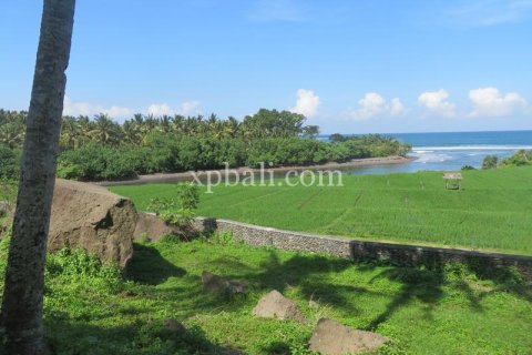 9335m2 Land in Negara, Jembrana, Bali (13914) 5