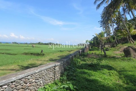 9335m2 Land in Negara, Jembrana, Bali (13914) 3