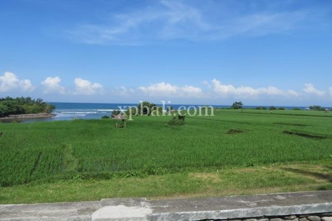 9335m2 Land in Negara, Jembrana, Bali (13914) 2
