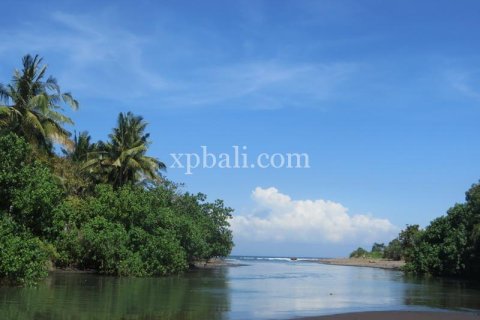 9335m2 Land in Negara, Jembrana, Bali (13914) 6