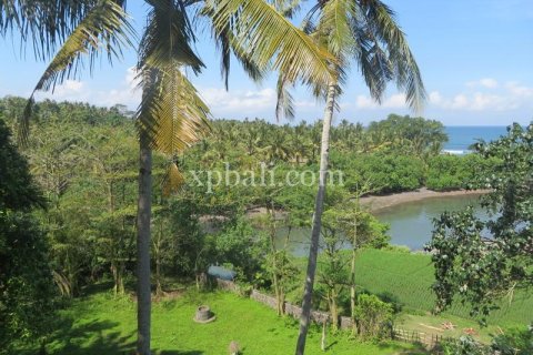 9335m2 Land in Negara, Jembrana, Bali (13914) 7