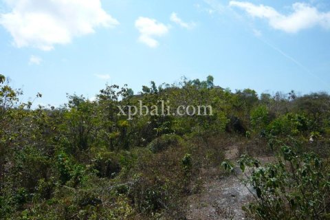 732m2 Land in South Kuta, Badung, Bali (13917) 9