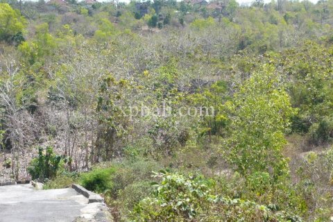 732m2 Land in South Kuta, Badung, Bali (13917) 5
