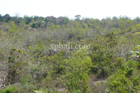 732m2 Land in South Kuta, Badung, Bali (13917) 8