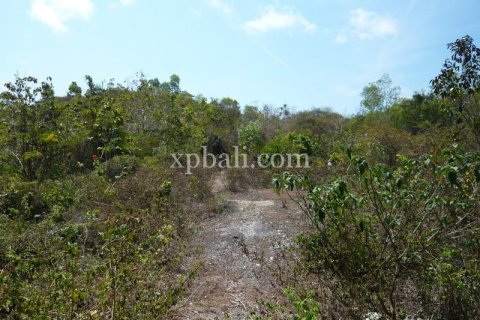 732m2 Land in South Kuta, Badung, Bali (13917) 2