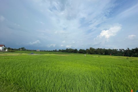 Land in Kediri, Tabanan, Bali (11978)
