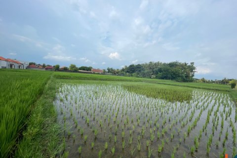 Land in Kediri, Tabanan, Bali (11981)