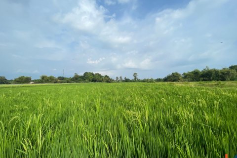 Land in Kediri, Tabanan, Bali (11980)