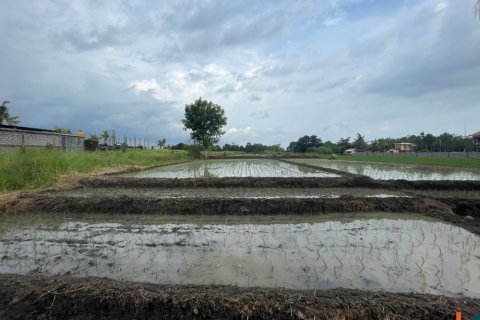 Land in Tabanan, Bali (11979)