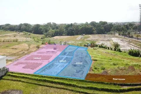 Land in Tumbak Bayuh, Mengwi, Badung, Bali (11404)