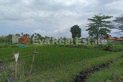2000m2 Land in Munggu, Mengwi, Badung, Bali (2407) 2