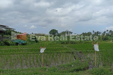 2000m2 Land in Munggu, Mengwi, Badung, Bali (2407) 3