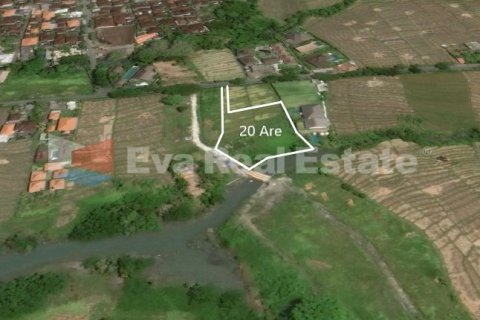 2000m2 Land in Munggu, Mengwi, Badung, Bali (2407)
