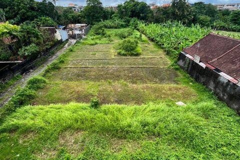 Land in Pererenan, Mengwi, Badung, Bali (11822)