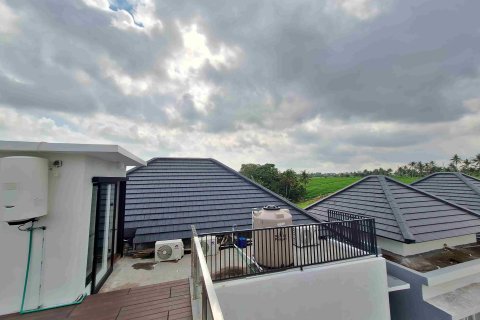 5 bedrooms House in Canggu, Badung, (9873) 14