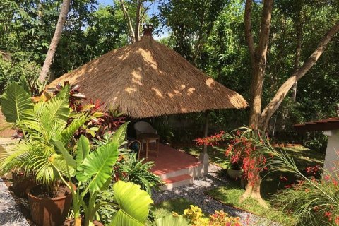 Вилла с 11 спальнями в Карангасем, (9874) 18