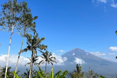 Вилла с 11 спальнями в Карангасем, (9874) 5