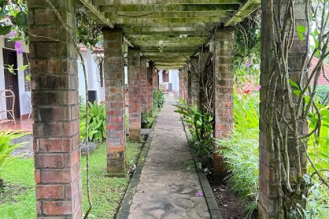 Вилла с 11 спальнями в Карангасем, (9874) 6