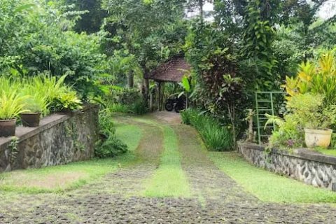 Вилла с 11 спальнями в Карангасем, (9874) 15