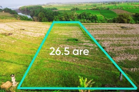 2650m2 Land in Tabanan, Bali (12053) 3