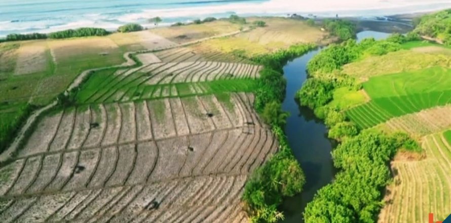 2650m2 Land in Tabanan, Bali (12053)