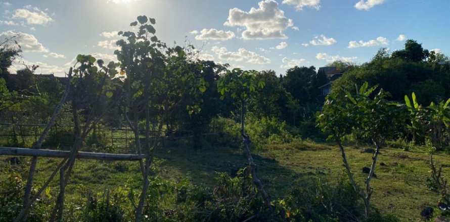 Land in Nusa Dua, Badung, Bali (12057)