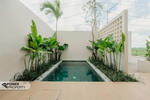 3 bedrooms Villa in Tabanan,  (9242) 27