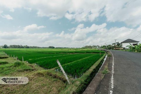 3 bedrooms Villa in Tabanan,  (9242) 30