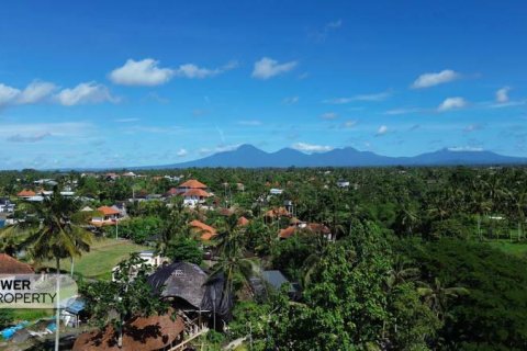 4 bedrooms Villa in Ubud, Gianyar,  (9240) 17