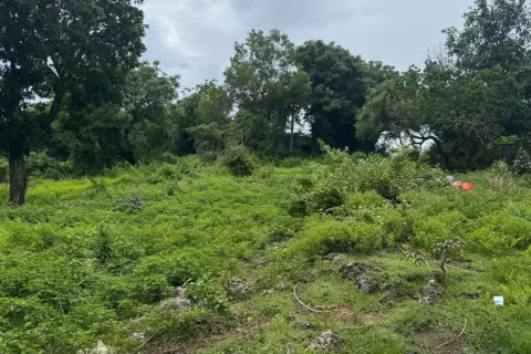 Land in Kuta, Badung, Bali (11558)
