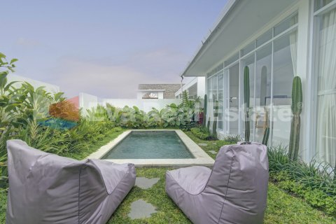 2 bedrooms Villa in Munggu, Mengwi, Badung, Bali (14728)