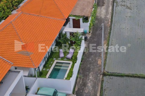 2 bedrooms Villa in Munggu, Mengwi, Badung, Bali (14728) 21