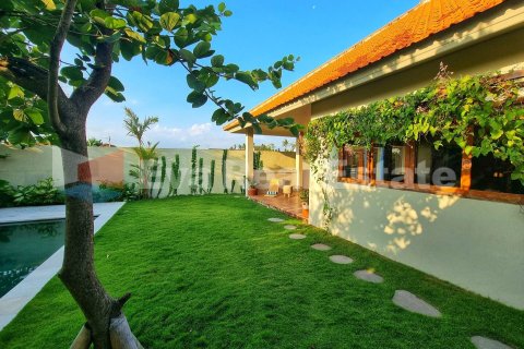 2 bedrooms Villa in Munggu, Mengwi, Badung, Bali (14794) 2
