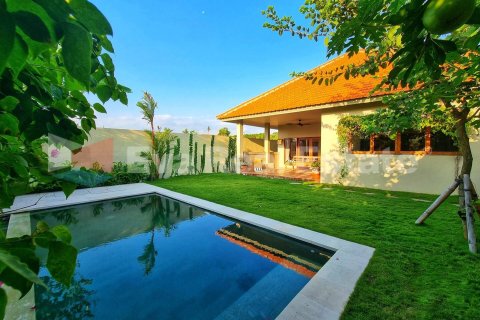 2 bedrooms Villa in Munggu, Mengwi, Badung, Bali (14794)