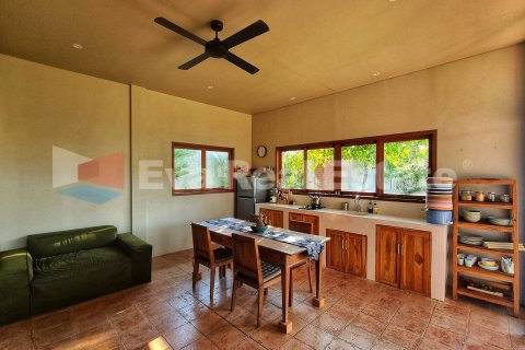 2 bedrooms Villa in Munggu, Mengwi, Badung, Bali (14794) 6