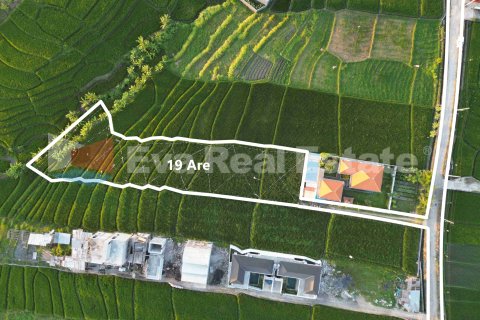 1900m2 Land in Cemagi, Mengwi, Badung, Bali (14784) 3
