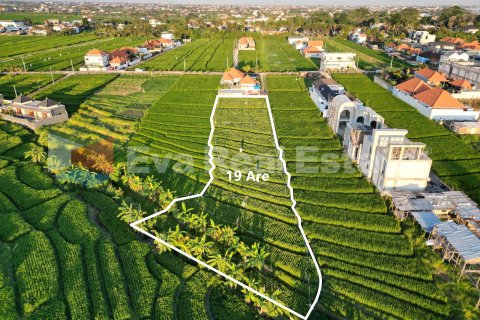 1900m2 Land in Cemagi, Mengwi, Badung, Bali (14784) 2