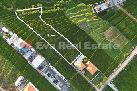 1900m2 Land in Cemagi, Mengwi, Badung, Bali (14784) 5