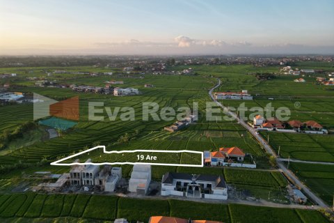 1900m2 Land in Cemagi, Mengwi, Badung, Bali (14784) 4