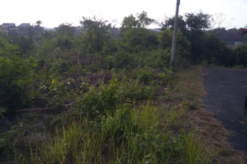 Land in Jimbaran, Badung, Bali (12305)