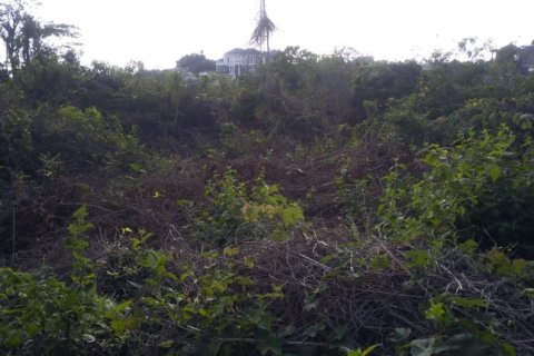 Land in Jimbaran, Badung, Bali (12305) 3