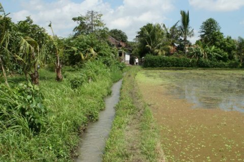 Land in Tabanan, Bali (12303)