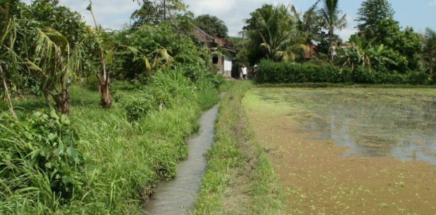 Land in Tabanan, Bali (12303)
