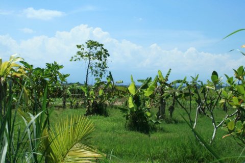 Land in Tabanan, Bali (12303) 2