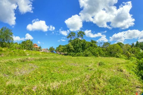 Land in Cepaka, Kediri, Tabanan, Bali (11336) 12