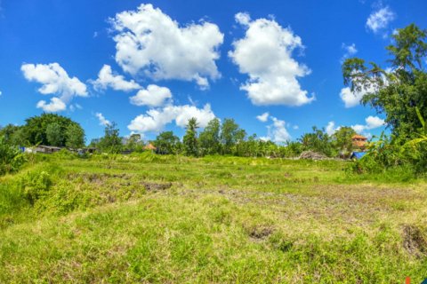 Land in Cepaka, Kediri, Tabanan, Bali (11336) 11