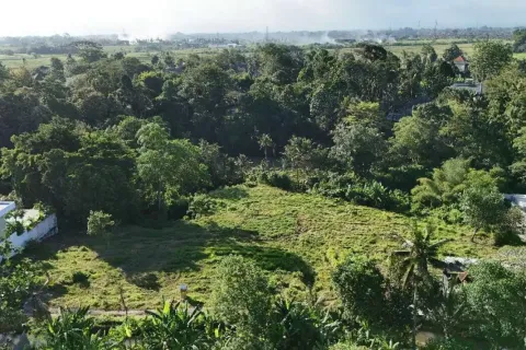 Land in Cepaka, Kediri, Tabanan, Bali (11336) 6