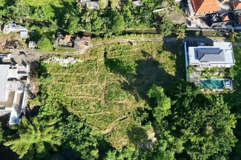 Land in Cepaka, Kediri, Tabanan, Bali (11336) 4