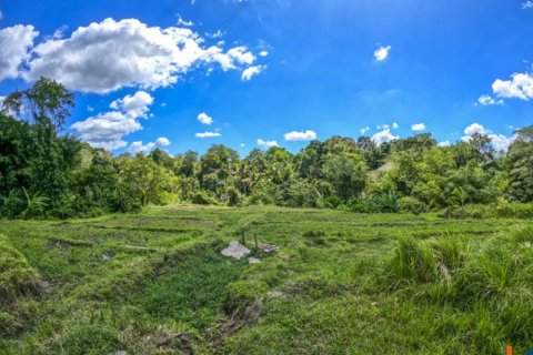 Land in Cepaka, Kediri, Tabanan, Bali (11336) 9